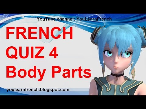 FRENCH QUIZ 4 - TEST Body Parts Vocabulary - Les parties du corps Parts of the body in French